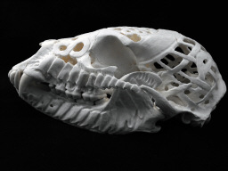 Custom Carved Black Bear Skull by Edward Troy Munson