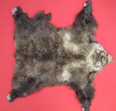 Picture of this lot Tanned Grizzly Bear Hides, Furs, Pelts, Skins