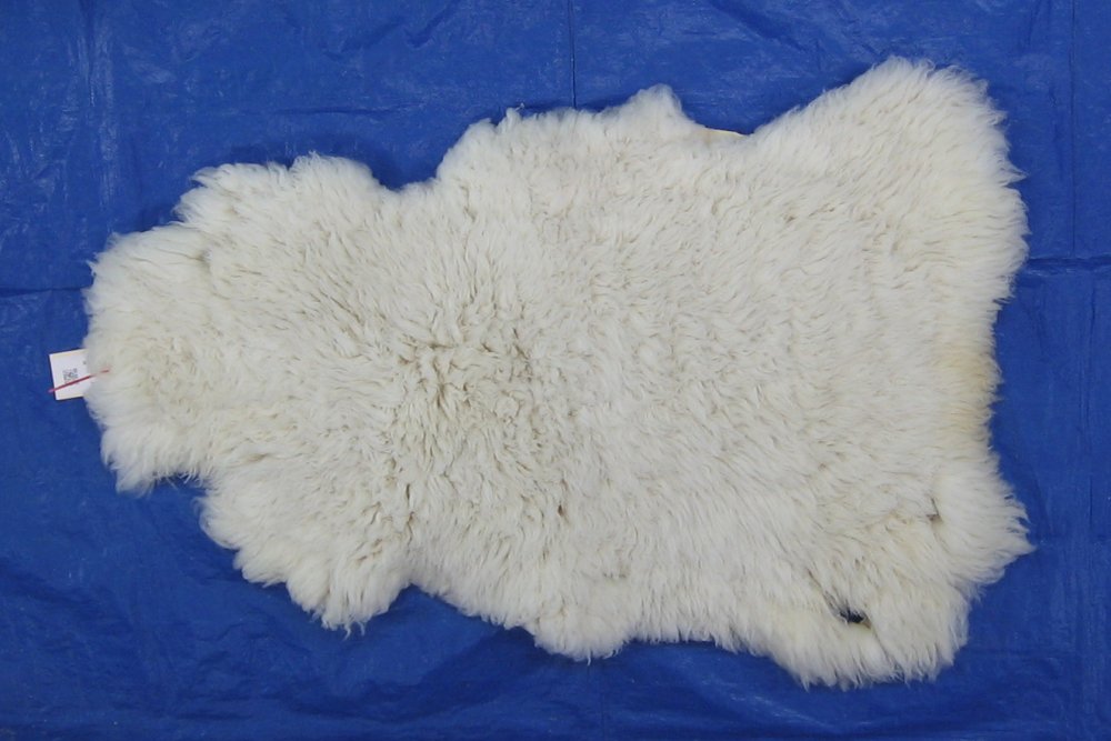 Tanned Furs DOMESTIC SHEEP REGULAR HIDES (73400222)
