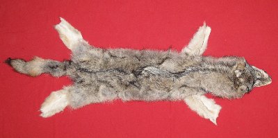 Picture of this lot Tanned Wolf Hides, Pelts, Skins