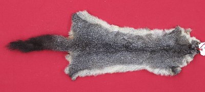 Picture of this lot Tanned Furs - Australian Opossum