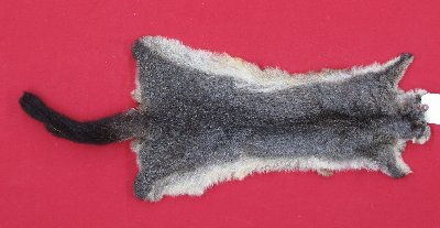 Picture of this lot Tanned Furs - Australian Opossum