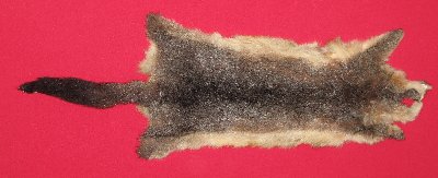 Picture of this lot Tanned Furs - Australian Opossum