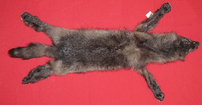 Picture of this lot Tanned Wolf Hides, Pelts, Skins