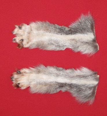 Picture of this lot Tanned Wolf Hides, Pelts, Skins